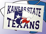 Texans PowerCat Decal