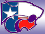 Texans Lapel Pin